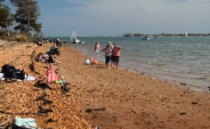 Brownsea_sunbathing