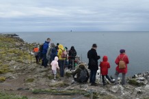 Farne-Thumbnail-2