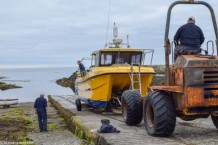 Bardsey_DSC_0070