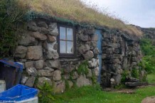 grass roof on Muck