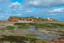 Hilbre_DSC_0346