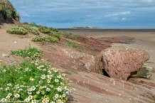 Hilbre_DSC_0360