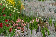 Gertrude Jekyll Garden