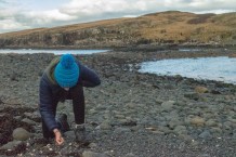 Walk to Oronsay Skye