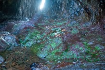 Sea caves on Oronsay Skye
