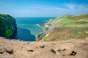 Best place to see puffins on Skomer island