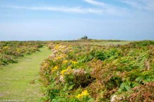 Walk on Skomer Island