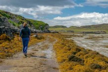 Oronsay walk