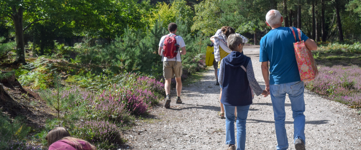 Coast walk Brownsea Island