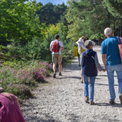 when to visit brownsea island