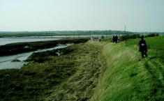 Circular walk Northey Island