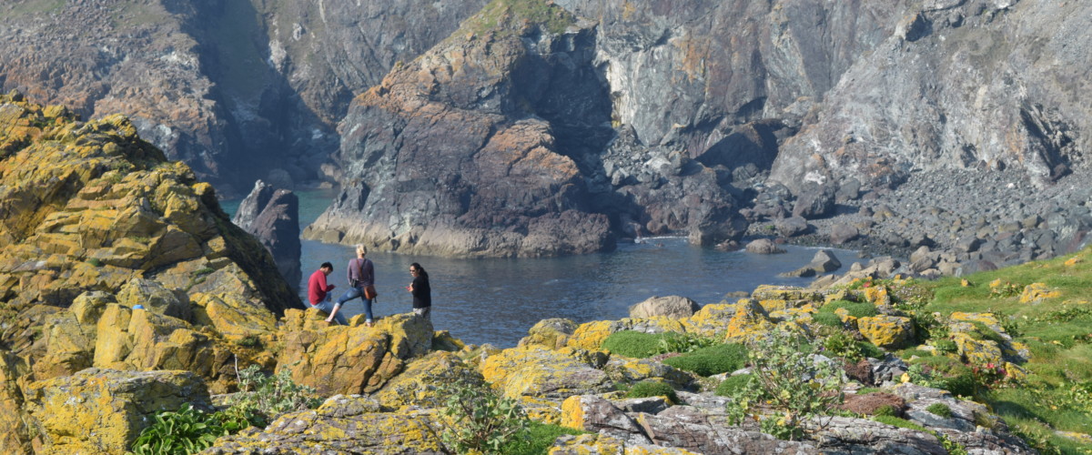 Walk to Asparagus Island