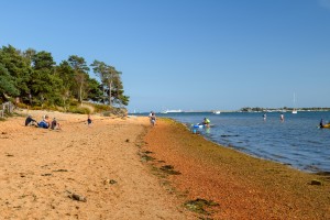 Brownsea camping