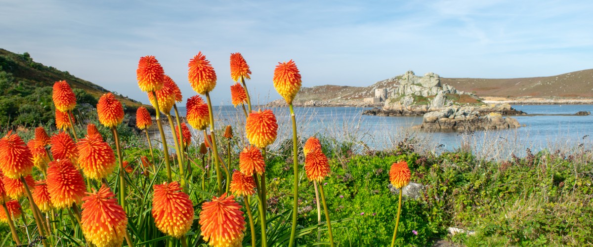 Bryher camping