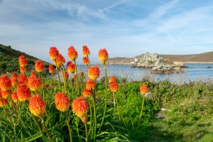 Bryher camping