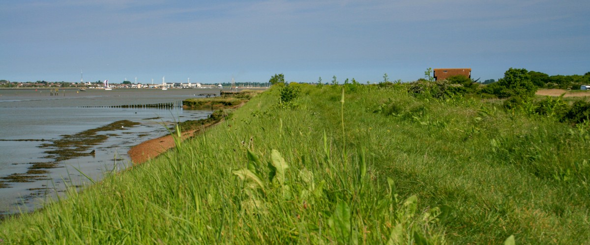 Mersea Island camping