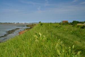 Mersea Island camping