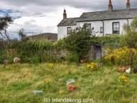 Piel Island coast walk