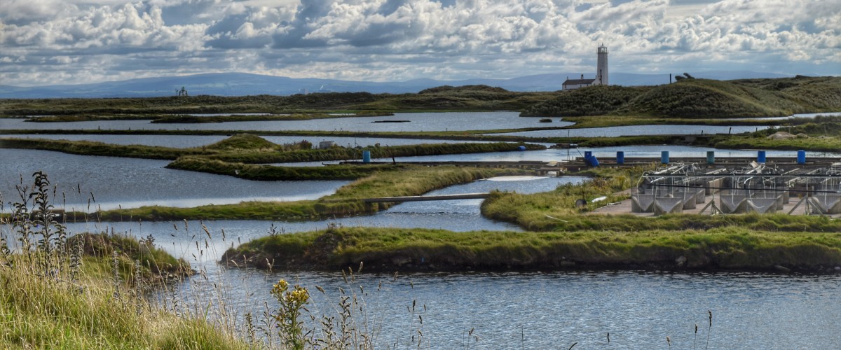 Walney Island Coastal Walk