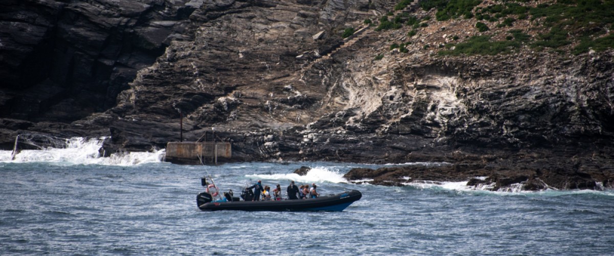 Godrevy Island boat