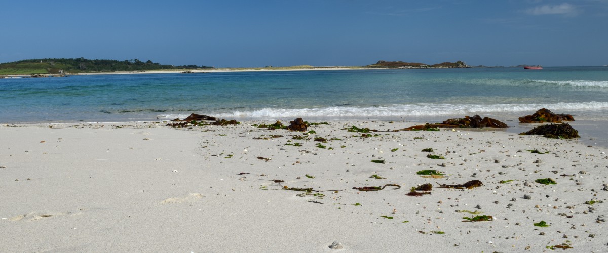 Wild swim on Scilly