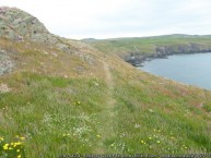 Anglesey Coast Path along Trwyn y Crewyn