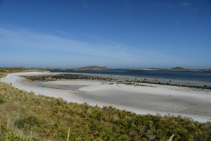 Wild swim Tresco