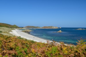 Wild swim St Martin's Scilly