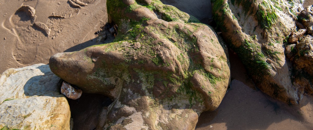 Fossil hunting Isle of Wight