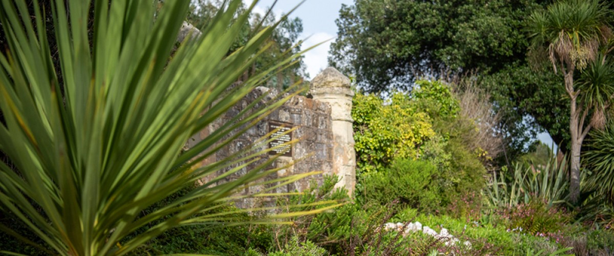 Ventnor Botanic Gardens