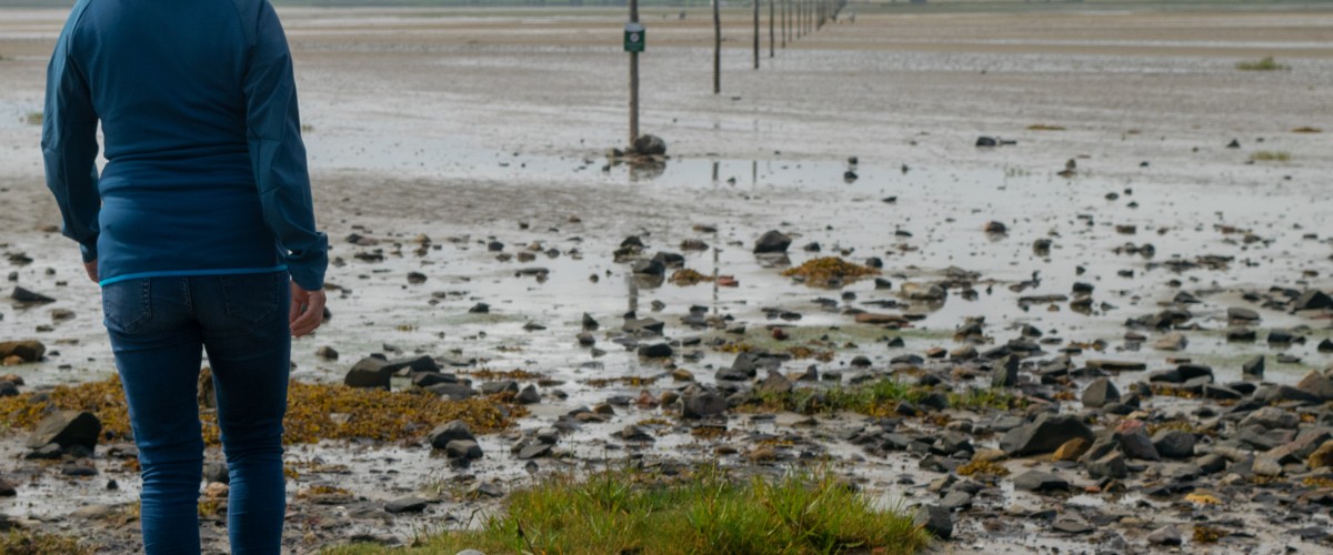 Holy Island walking route