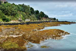 Best walks in Jersey